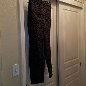 Lane Bryant On the Go Ankle Pants